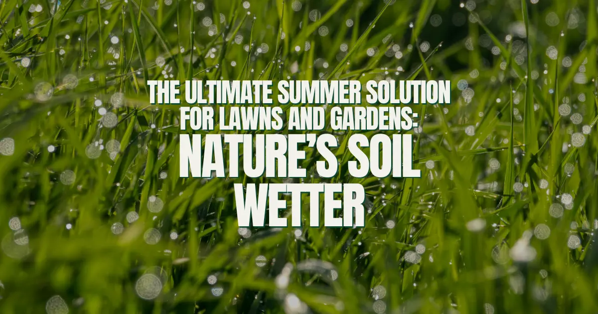 The Ultimate Summer Solution for Lawns and Gardens: Nature’s Soil Wetter