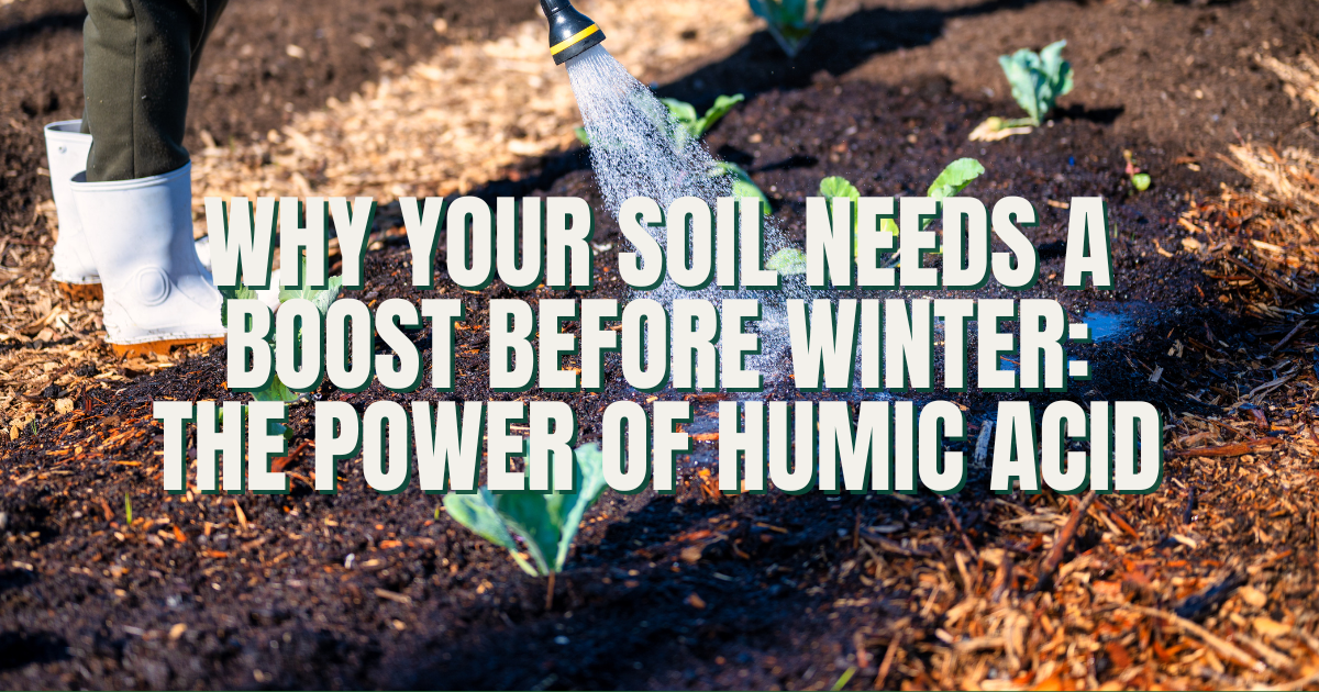 Why Your Soil Needs a Boost Before Winter: The Power of Humic Acid