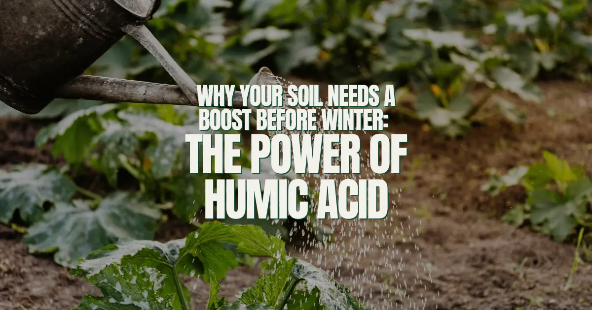 Why Your Soil Needs a Boost Before Winter: The Power of Humic Acid