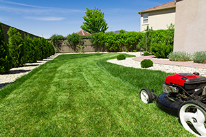 How to achieve the ultimate lawn renovation