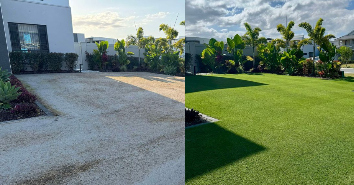 How to achieve the ultimate lawn renovation