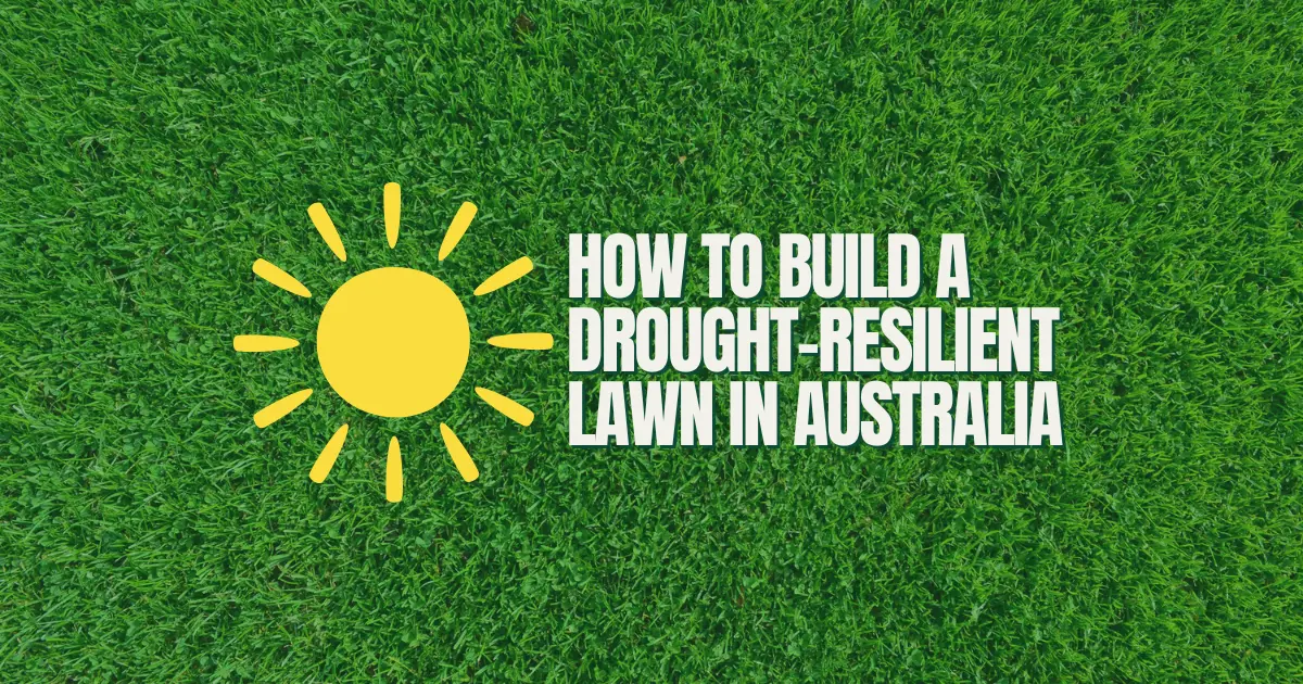 How to Build a Drought-Resilient Lawn in Australia