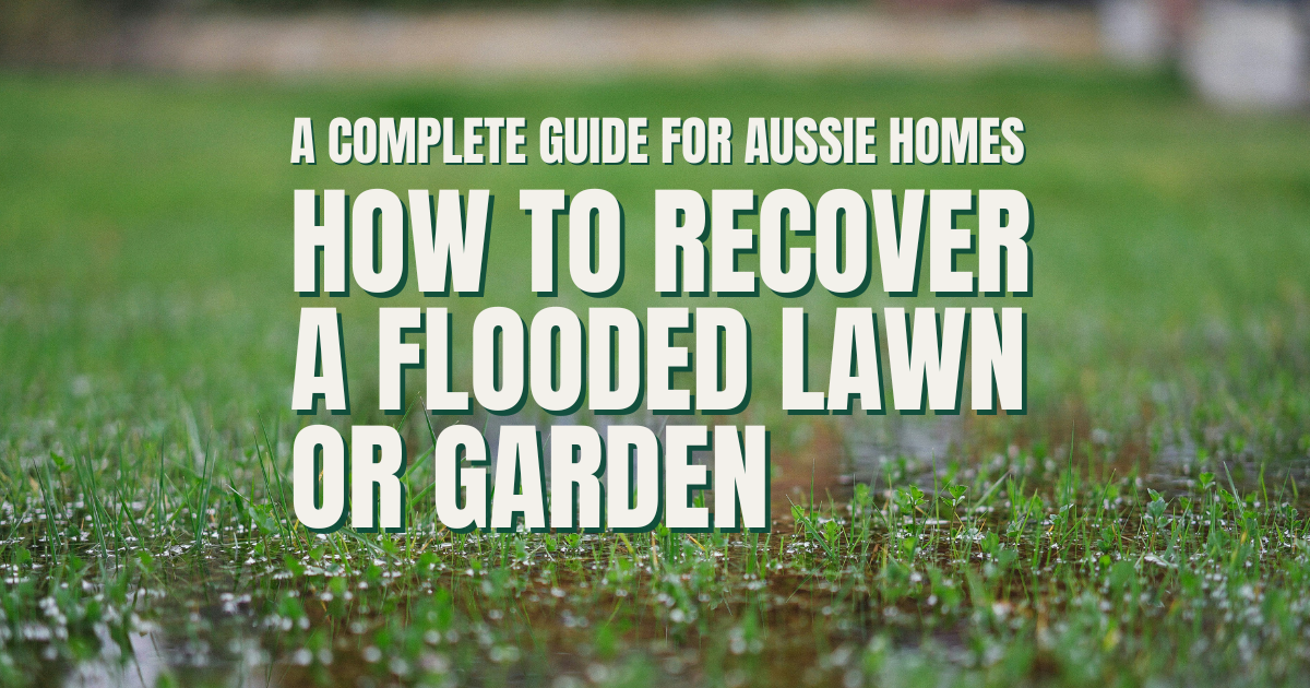 How to Recover a Flooded Lawn or Garden: A Complete Guide for Aussie Homes