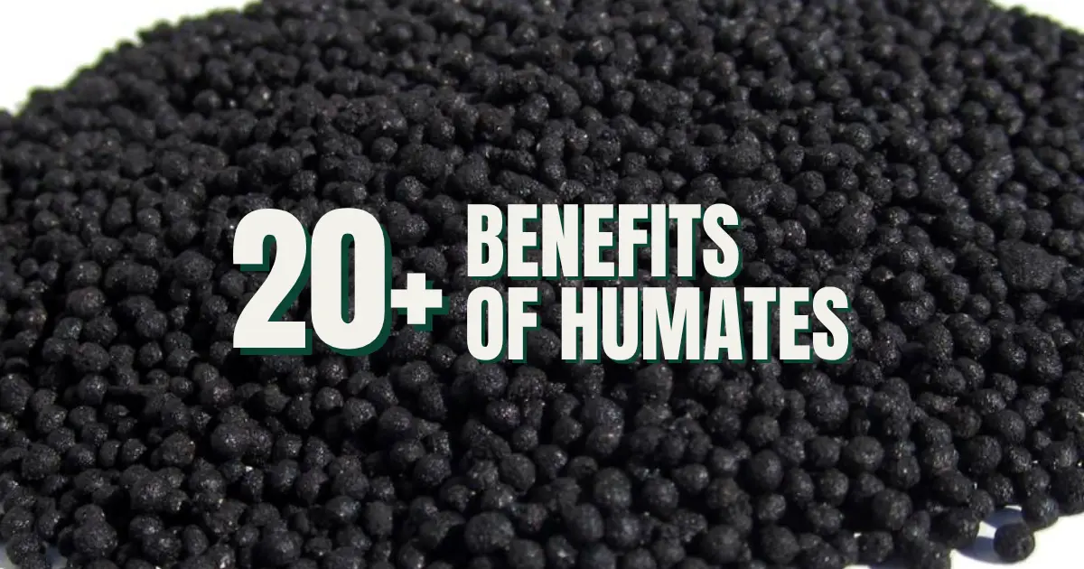 20 + Benefits of Humates