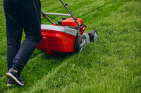 Picking the best mowing height for your lawn