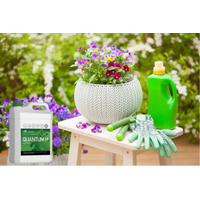 Understanding NPK Ratios: What They Mean for Your Garden