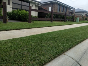 Lawn reno done right!
