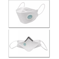 Face Masks