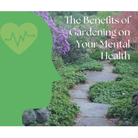 Cultivating Wellness: The Remarkable Benefits of Gardening on Mental Health