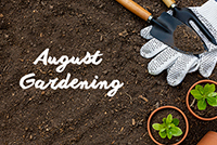 August Gardening - To do list