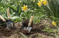 Simple Spring Gardening Tips!