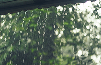 Gardening in rain, hail or shine