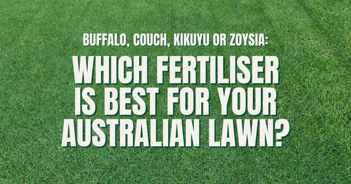 Buffalo, Couch, Kikuyu or Zoysia: Which Fertiliser Is Best for Your Australian Lawn?