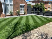 Lawn success 