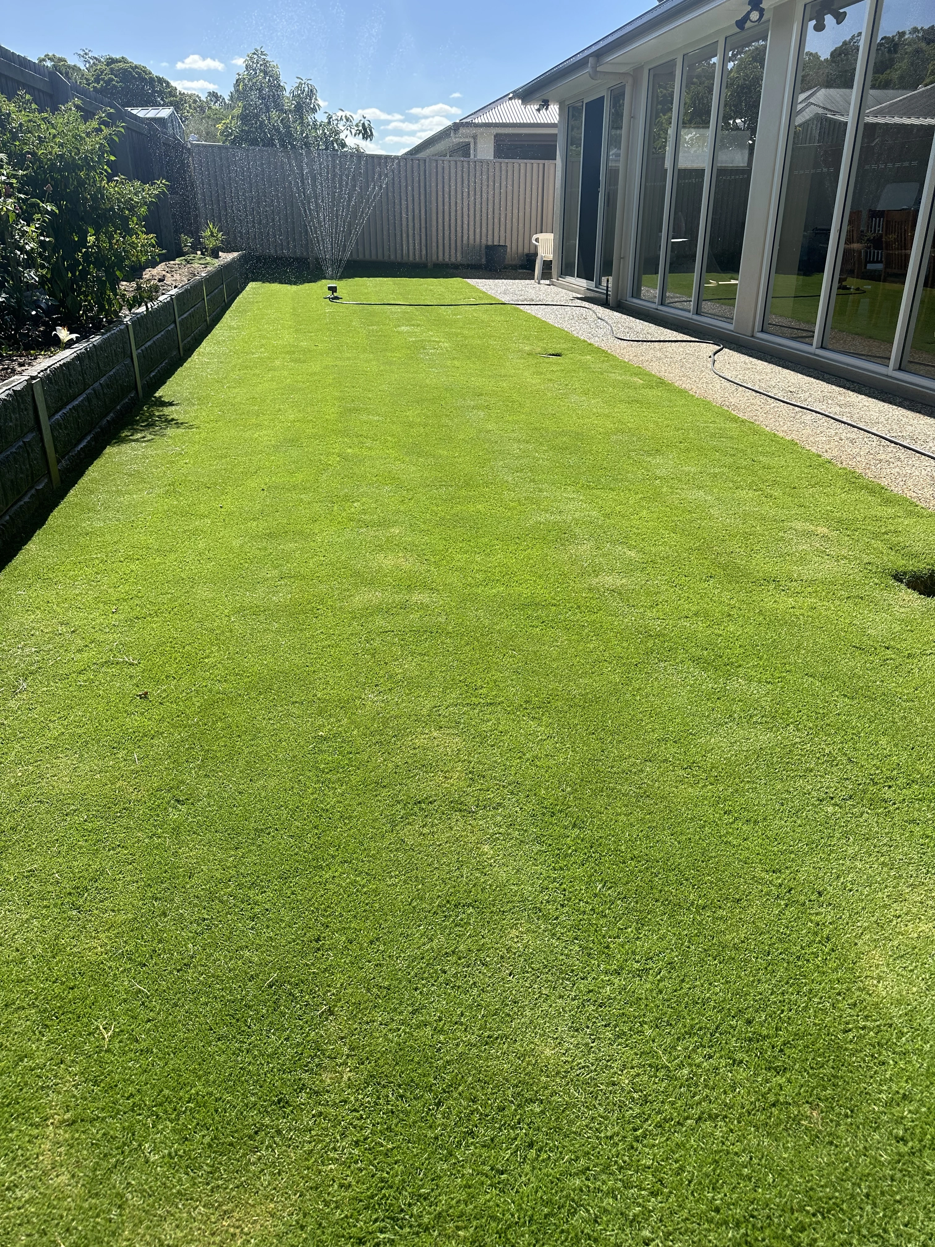 Anferny's Weekly Summer Lawn Routine