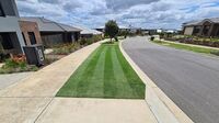 Successful lawn reno! 