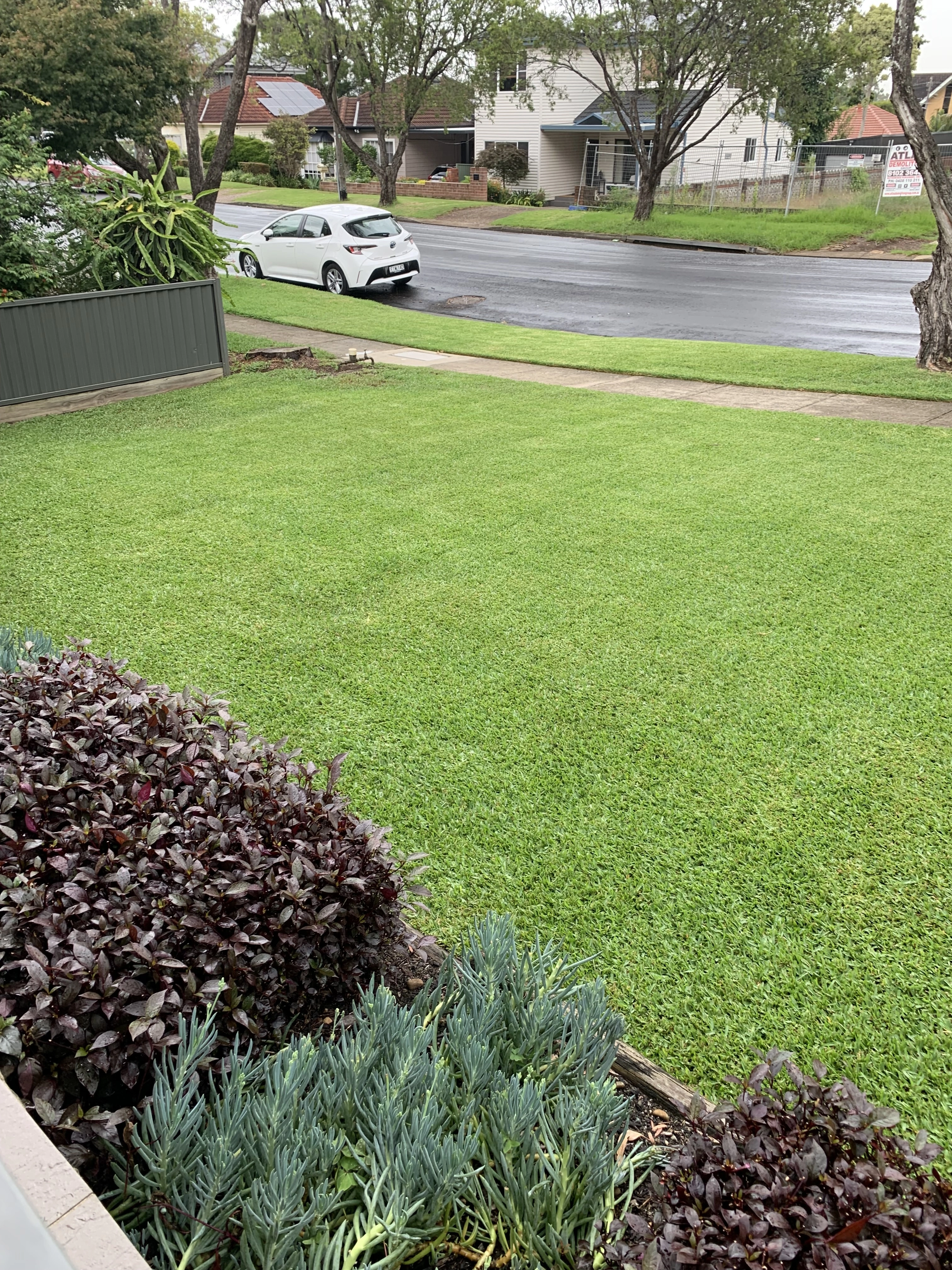 Ashley's Complete Lawn Care Program