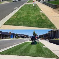 Melbourne Lawnie's awesome before and after 
