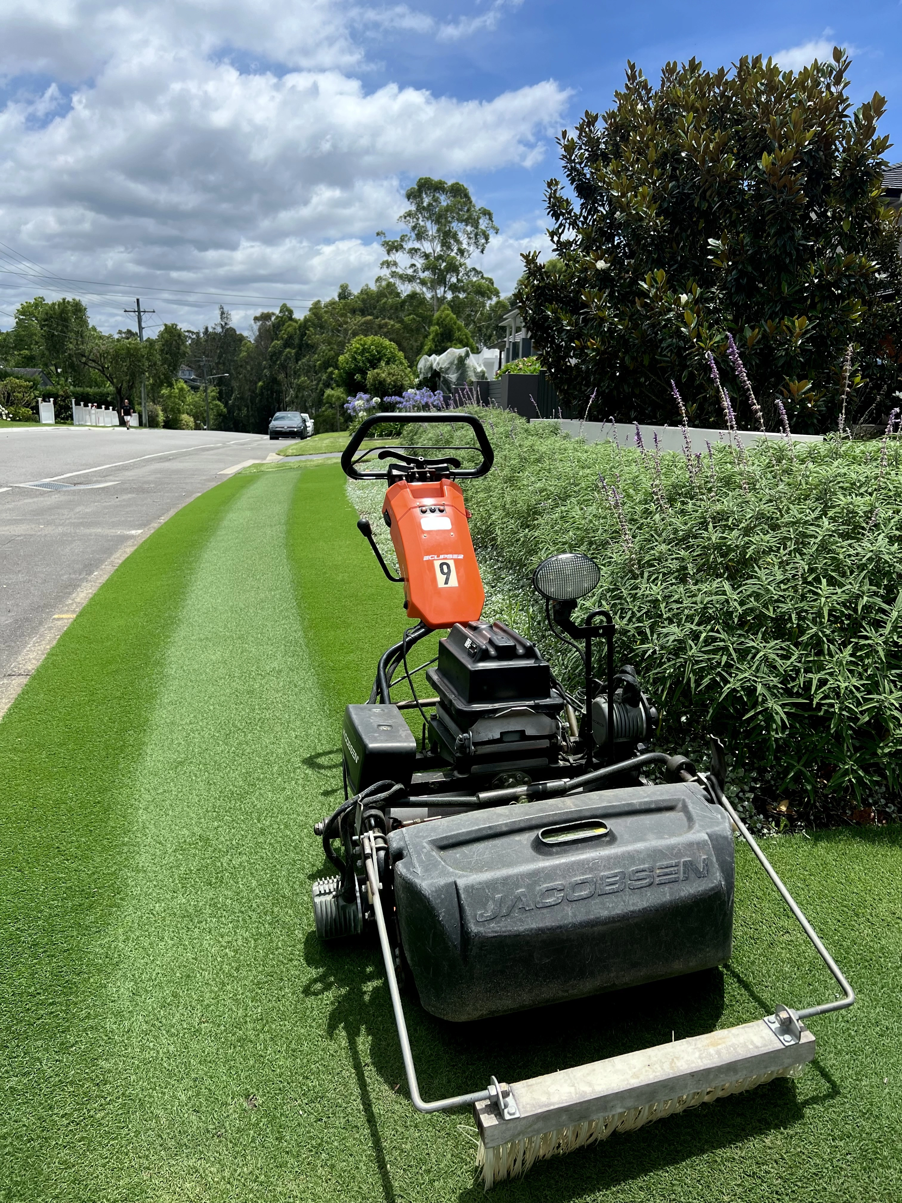 Taz's Lawn Maintenance Routine