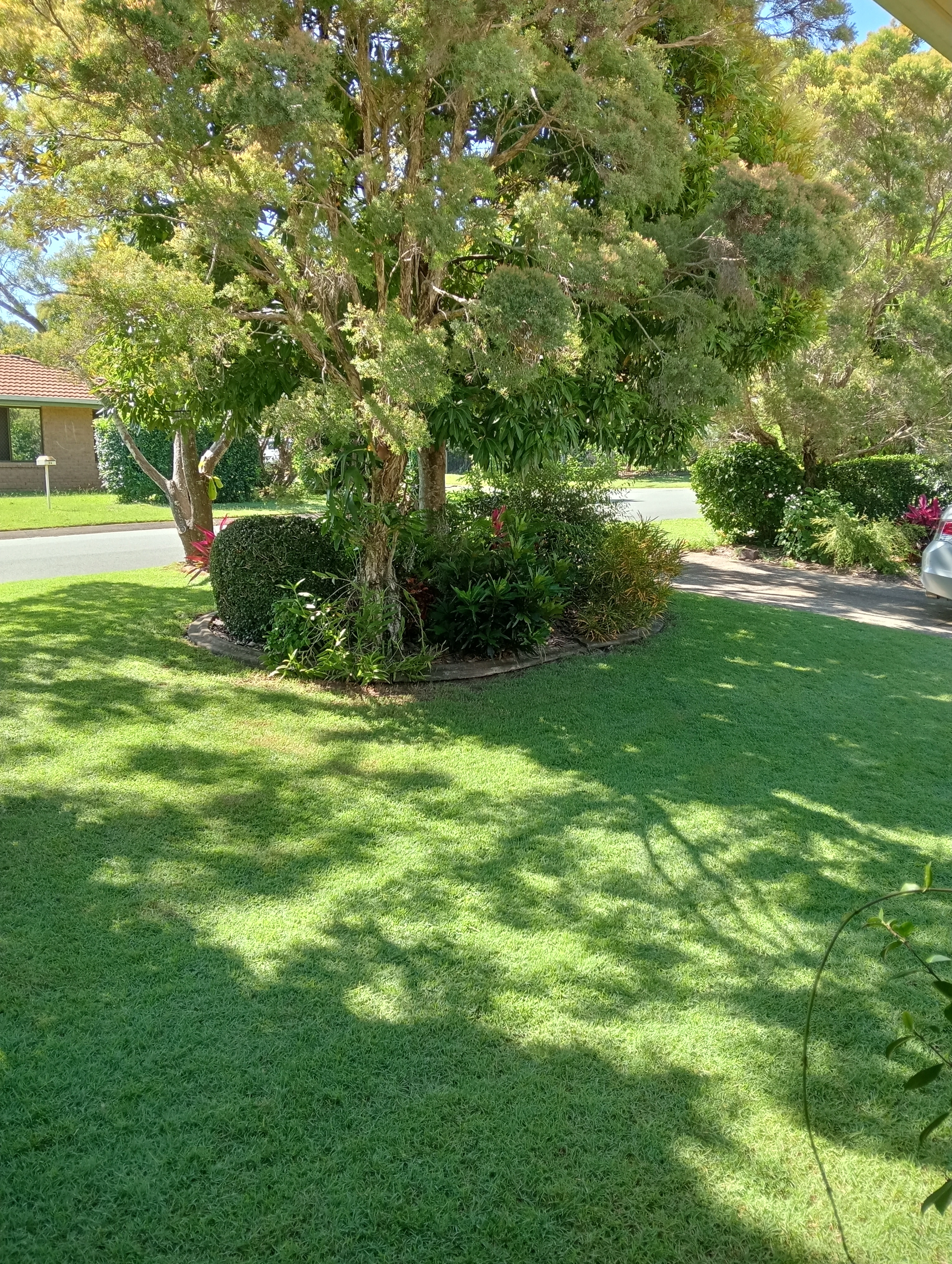 Margaret's Weekly Lawn & Garden Routine