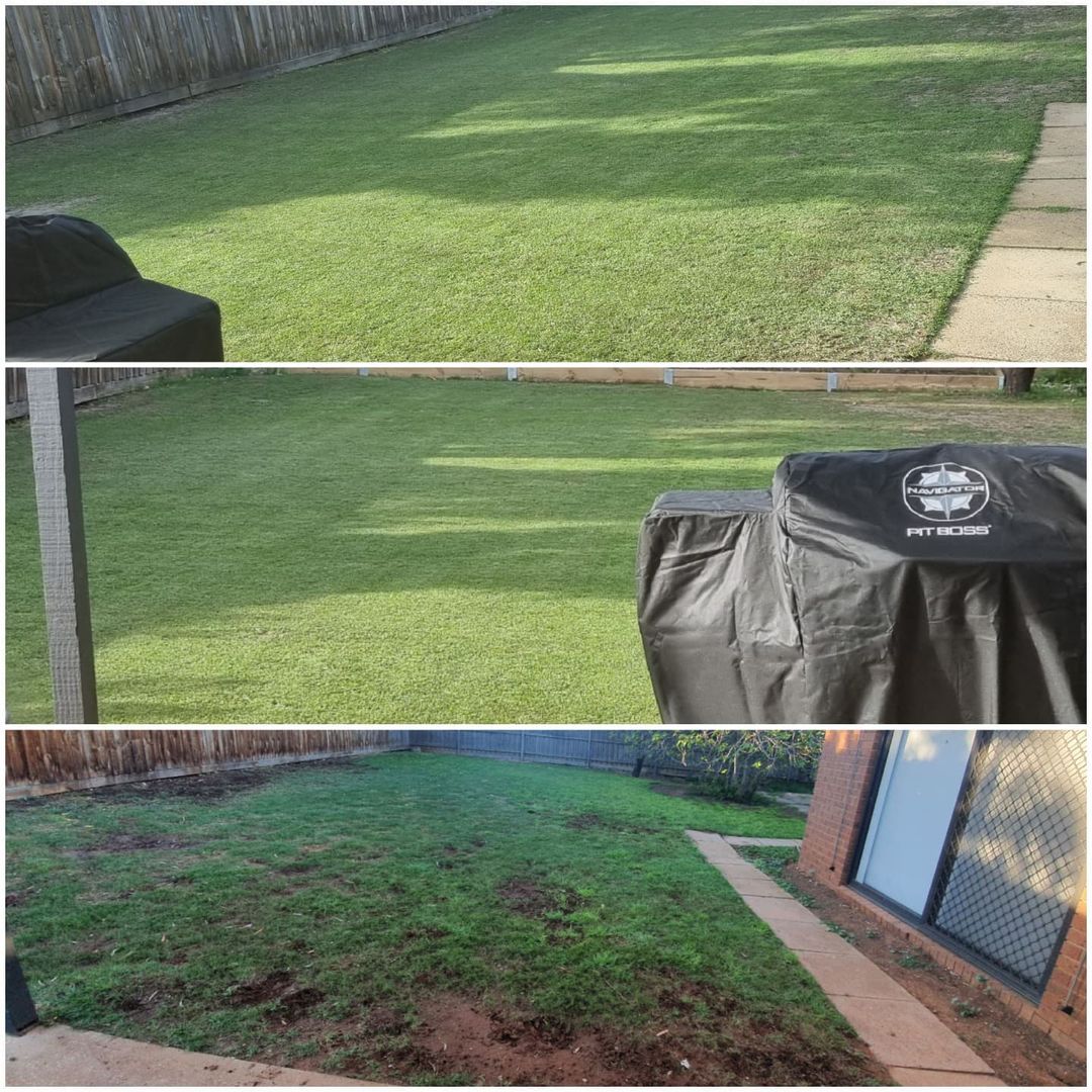 Awesome lawn before and after!