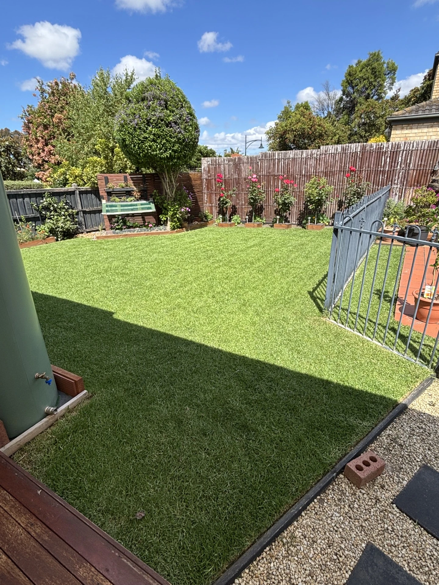 Shoua's Complete Lawn Care Program