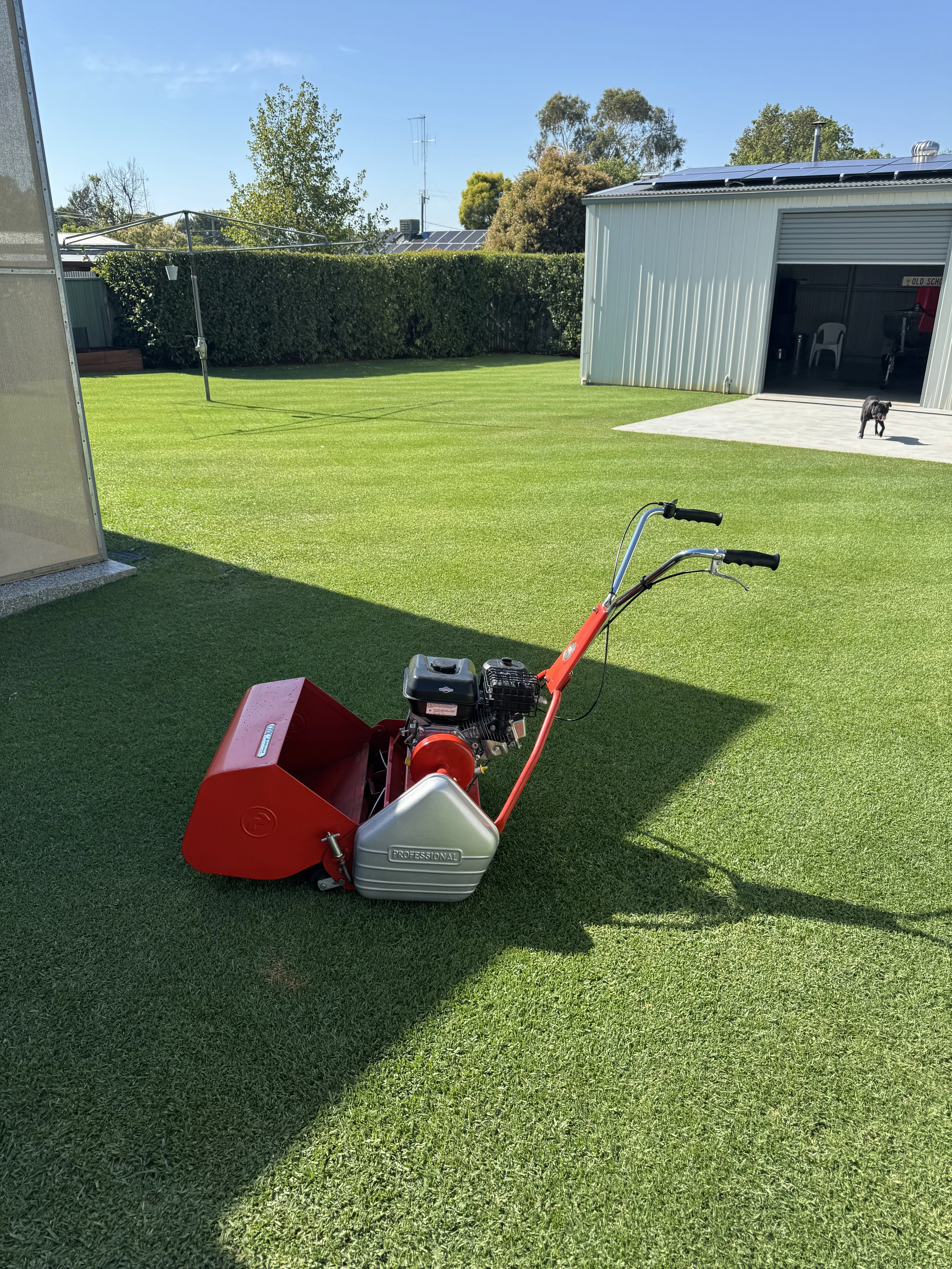 Jordan's Lawn Care Routine